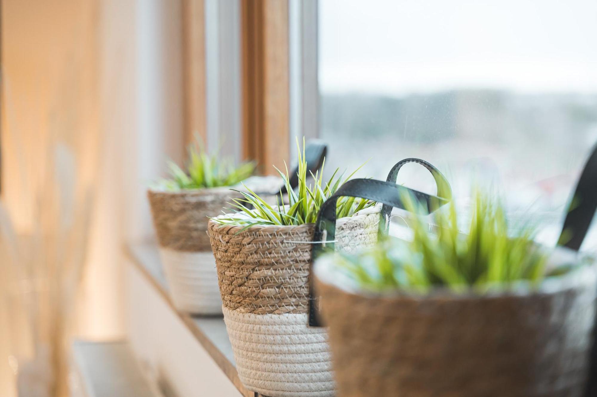 סינדלפינגן Neu: Stylische Suite Mit Ausblick מראה חיצוני תמונה